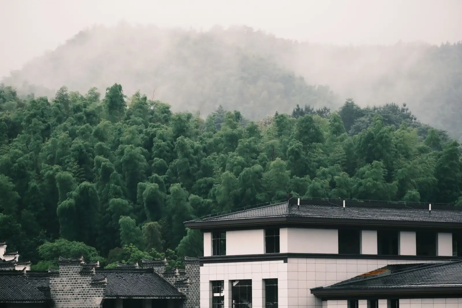 山西学海无涯文化传媒图书策划与版权代理服务优势解析