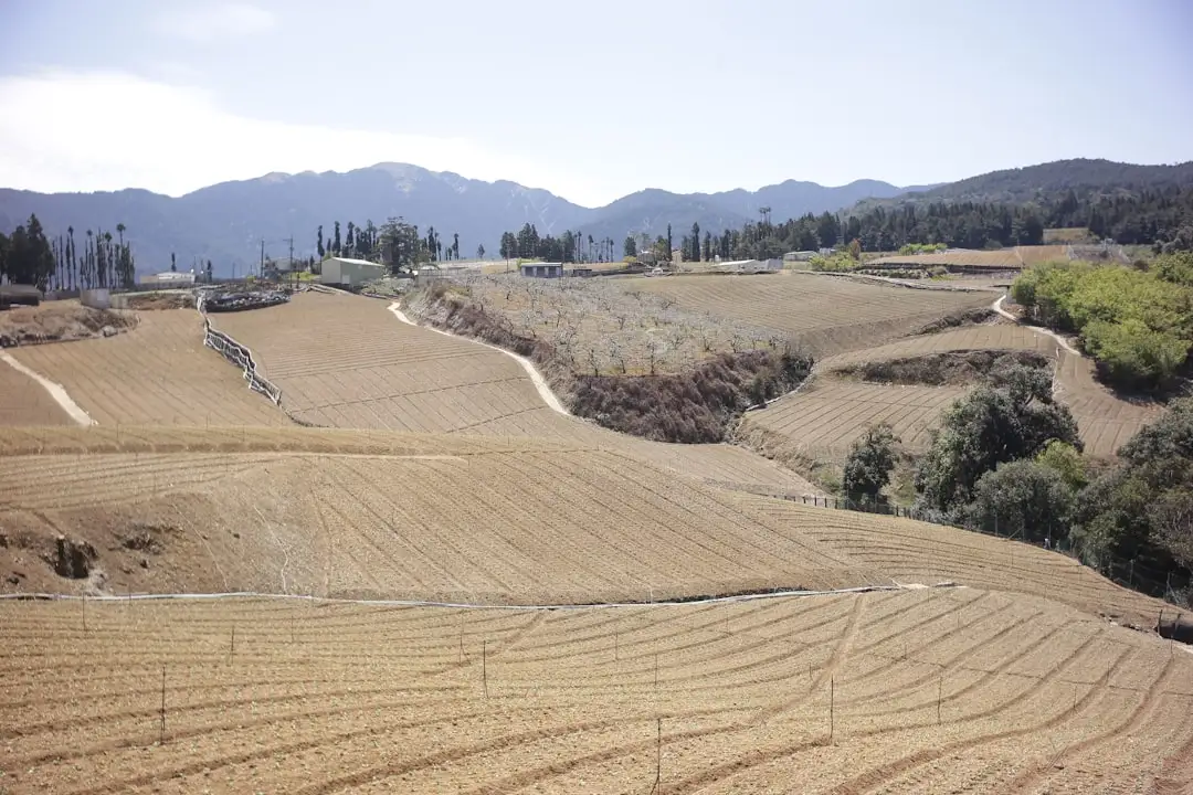 文化交流活动执行中的图书策划技术应用与案例解析