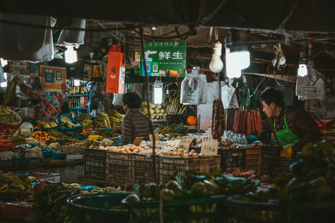2025年图书策划行业政策调整对版权代理业务的影响分析